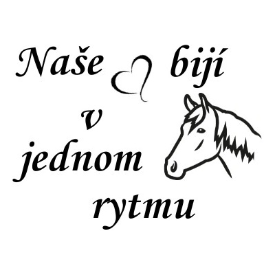 Nažehlovací nápis naše srdce s koněm Vzor: 1, Barva potisku: tmavě šedá