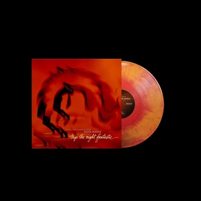 Terri Lyne Carrington - TRIP THE NIGHT FANTASTIC 2 LP