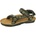 Bufo Inca