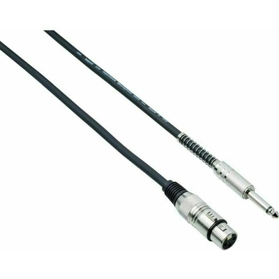 Bespeco IROMA 450