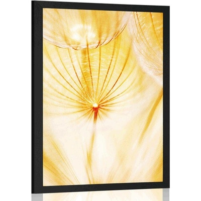 Plakát pampeliška ve žlutém provedení - 40x60 no frame