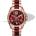 Michael Kors MK6270