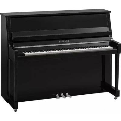 Yamaha B20 PEC