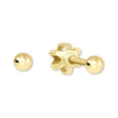 Soliter Drobné zlaté náušnice 231 001 00616