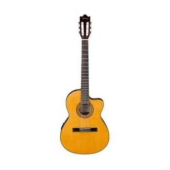 Ibanez GA5TCE