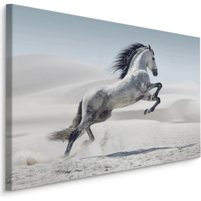 MyBestHome BOX Plátno Kůň V Poušti Varianta: 70x50