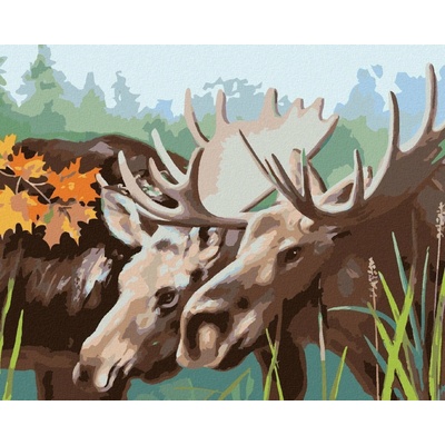 Zuty Malování Podle Čísel Losí Pár D. Rusty Rust 80 x 100 cm Plátno Rám
