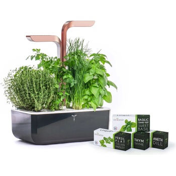 Image 1 of VÉritable (Франция) Настолна домашна градина Véritable® SMART Garden Cooper - цвят черен и мед (VPOT-SSBCO-A-5)