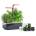 VÉritable (Франция) Настолна домашна градина Véritable® SMART Garden Cooper - цвят черен и мед (VPOT-SSBCO-A-5)