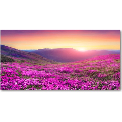 Fotoobraz na skle ružové kopca 100x50 cm