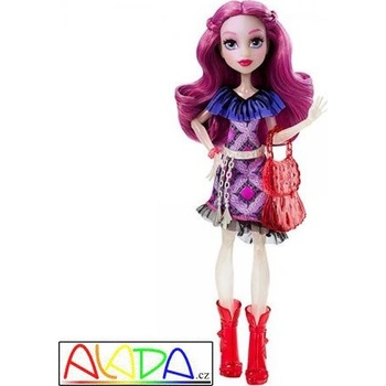 Mattel Monster High Základní příšerka Ari Hauntington