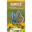 Hmyz