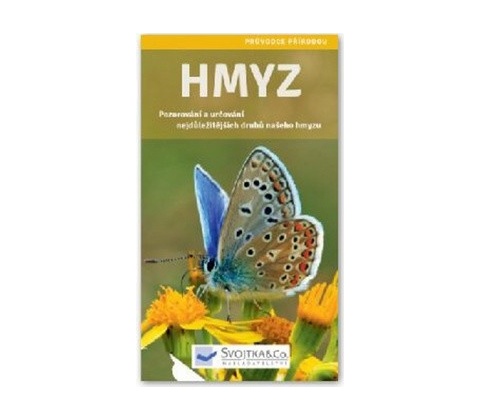 Hmyz
