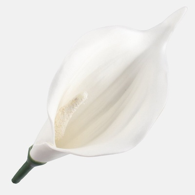 Kala mini penová hlava Pure White 13 cm 24 ks/bal, Biela-číra Ø 13 cm