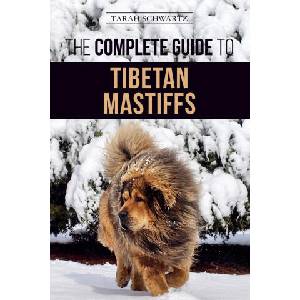 The Complete Guide to the Tibetan Mastiff: Finding, Raising, Training, Feeding, and Successfully Owning a Tibetan Mastiff | Tarah Schwartz (ISBN: 9781952069055)