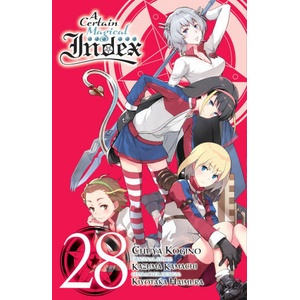 A Certain Magical Index, Vol. 28 (Manga) | Alice Prowse (ISBN: 9781975376932)