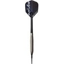Target Power Silverlight Phil Taylor 18 g