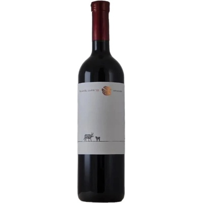 Chateau Rúbaň Frankovka modrá 2020 13% 0,75 l (čistá fľaša)
