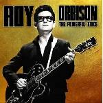 Roy Orbison - The Powerful Voice (Limited Edition) (Gold Coloured) (LP) (8717662599514)