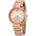 Michael Kors MK6282