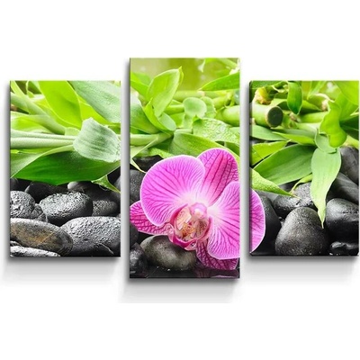 Sablio Obraz - 3-dílný Růžová orchidej - 75x50 cm