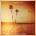 Kings of Leon - Come Around Sundown (2 LP) (886976496814)