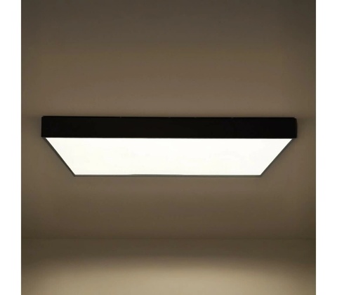 Nedes CL7233