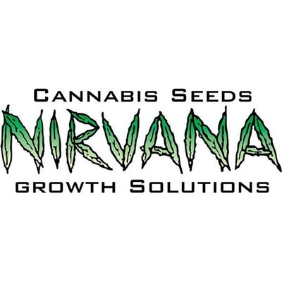 Nirvana Big Bud Fem semena neobsahují THC 3 ks