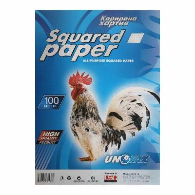 Карирана хартия, A4, вестникарска, 100 листа (1525100001)
