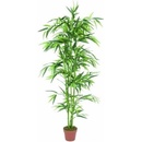 82509161 - Europalms Bambus v květináči, 150cm - 0