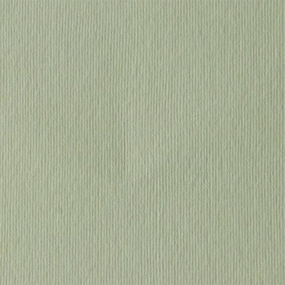 Fabriano Картон Elle Erre, 70 x 100 cm, 220 g/m2, № 101, бежов (46470101/10_PANNA)