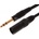 Bespeco EASX900