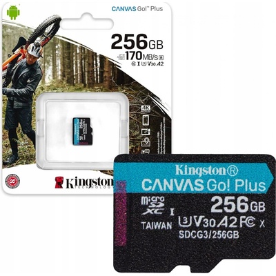Kingston 256GB SDCG3/256GBSP