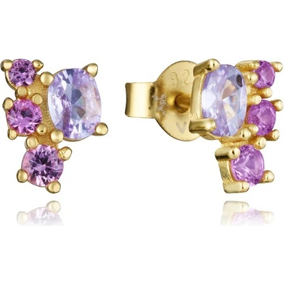 Viceroy náušnice 9129E100-37