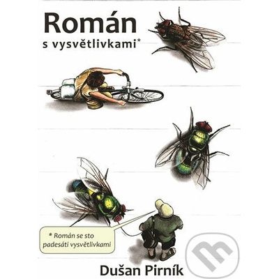 Román s vysvětlivkami - Pirník Dušan