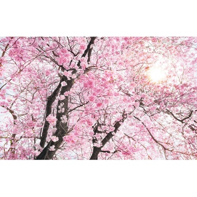 Komar Vliesová fototapeta Bloom rozměry 400 x 250 cm