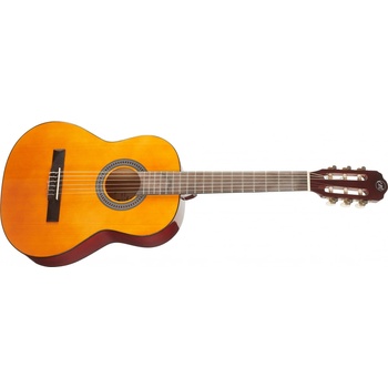 Tanglewood EM C2