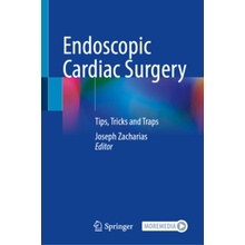 Endoscopic Cardiac Surgery