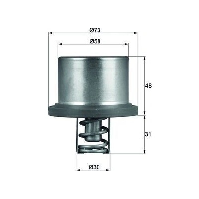 Termostat, chladivo MAHLE THD 2 89 THD 2 89