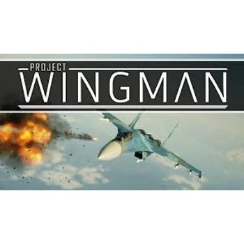 Project Wingman
