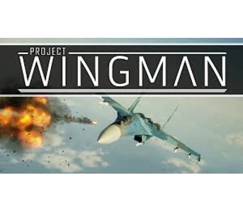 Project Wingman