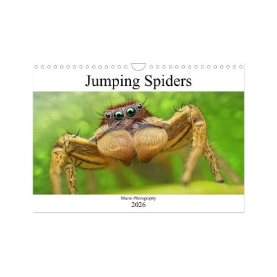 Jumping Spiders Wall DIN A4 landscape, CALVENDO 12 Month Wall 2026
