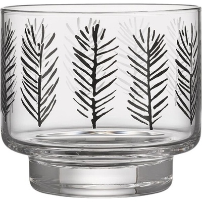 Svietnik Spruce