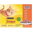 Friskies Multipack kurča kačica losos morka v šťave 12 x 85 g