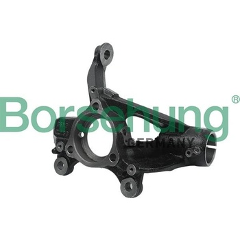BOR-B18509