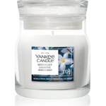 Yankee Candle Midnight Jasmine ароматна свещ Signature 110 гр