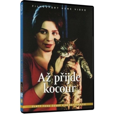 Až přijde kocour DVD