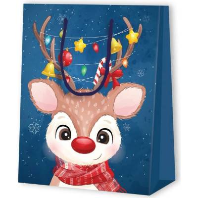 Vánoční dárková taška - Střední Varianta 2