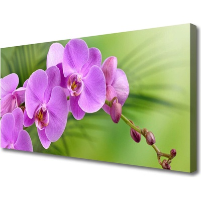 Obraz Canvas Vstavač orchidea kvety 100x50 cm