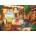 EUROGRAPHICS - Puzzle Winery - 1 000 piese